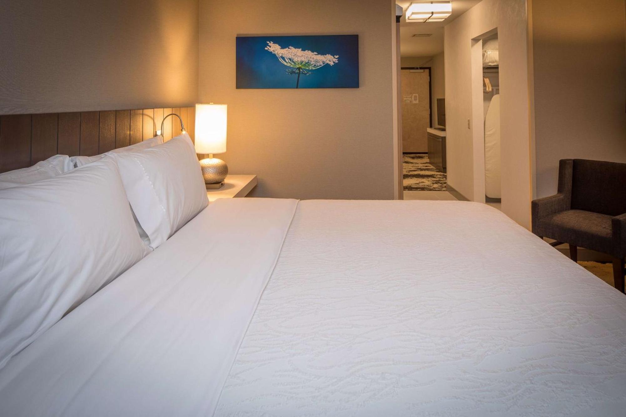 Hilton Garden Inn Pittsburgh Airport Moon Township Εξωτερικό φωτογραφία